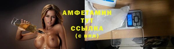 амф Алзамай
