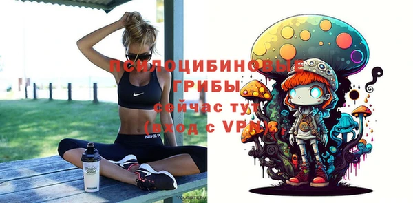 МДПВ Алексин